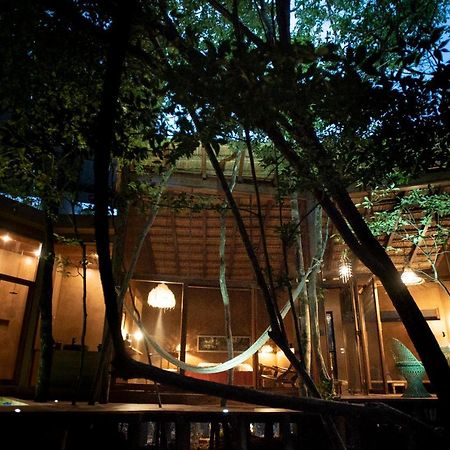 Ojo De Arbol, Boutique Cabin In The Real Jungle Tulum Exteriér fotografie