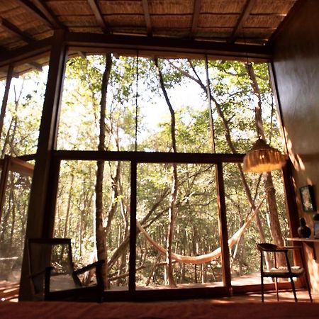 Ojo De Arbol, Boutique Cabin In The Real Jungle Tulum Exteriér fotografie