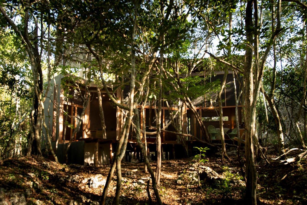 Ojo De Arbol, Boutique Cabin In The Real Jungle Tulum Exteriér fotografie