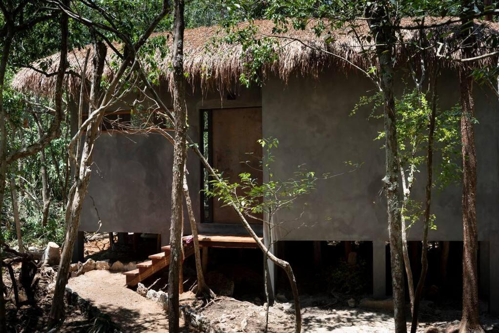 Ojo De Arbol, Boutique Cabin In The Real Jungle Tulum Exteriér fotografie