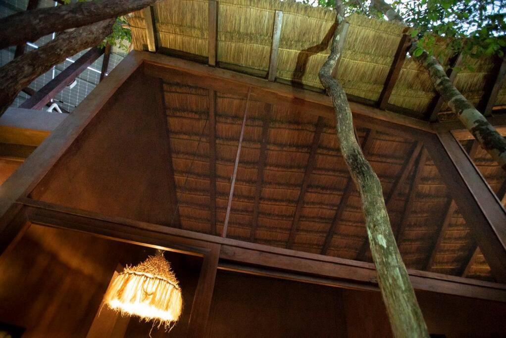Ojo De Arbol, Boutique Cabin In The Real Jungle Tulum Exteriér fotografie