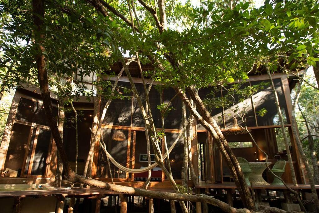 Ojo De Arbol, Boutique Cabin In The Real Jungle Tulum Exteriér fotografie